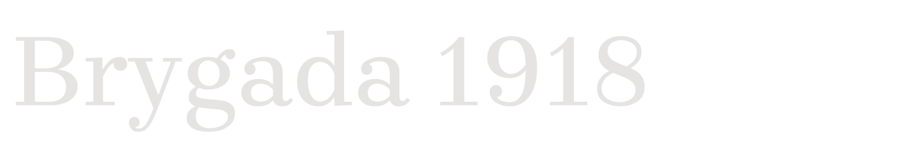 Brygada 1918 set in Brygada 1918