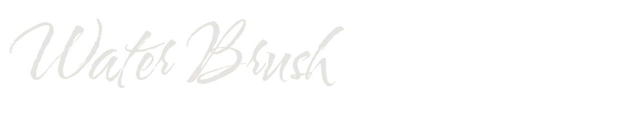 Water Brush set in Water Brush
