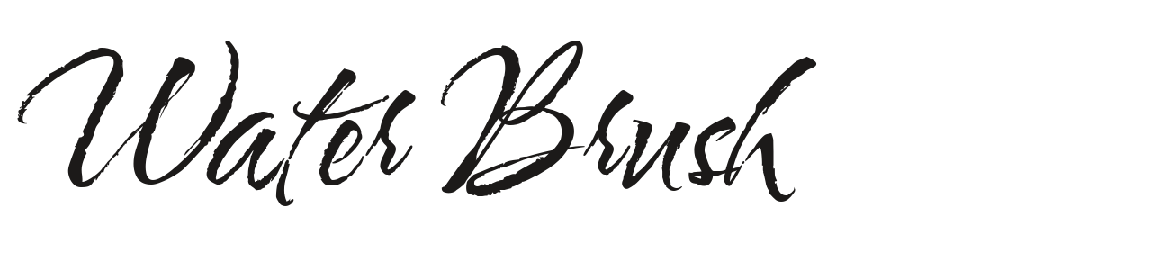 Water Brush set in Water Brush