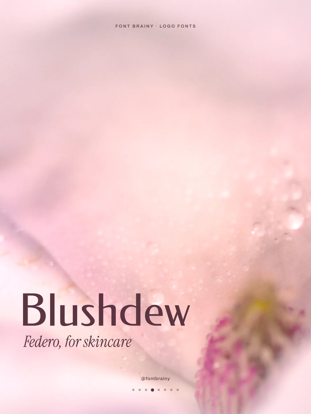 Blushdew: Federo