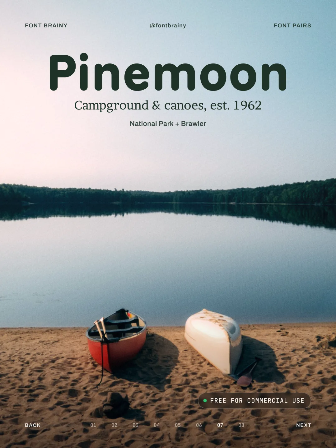 Pinemoon: National Park and Brawler