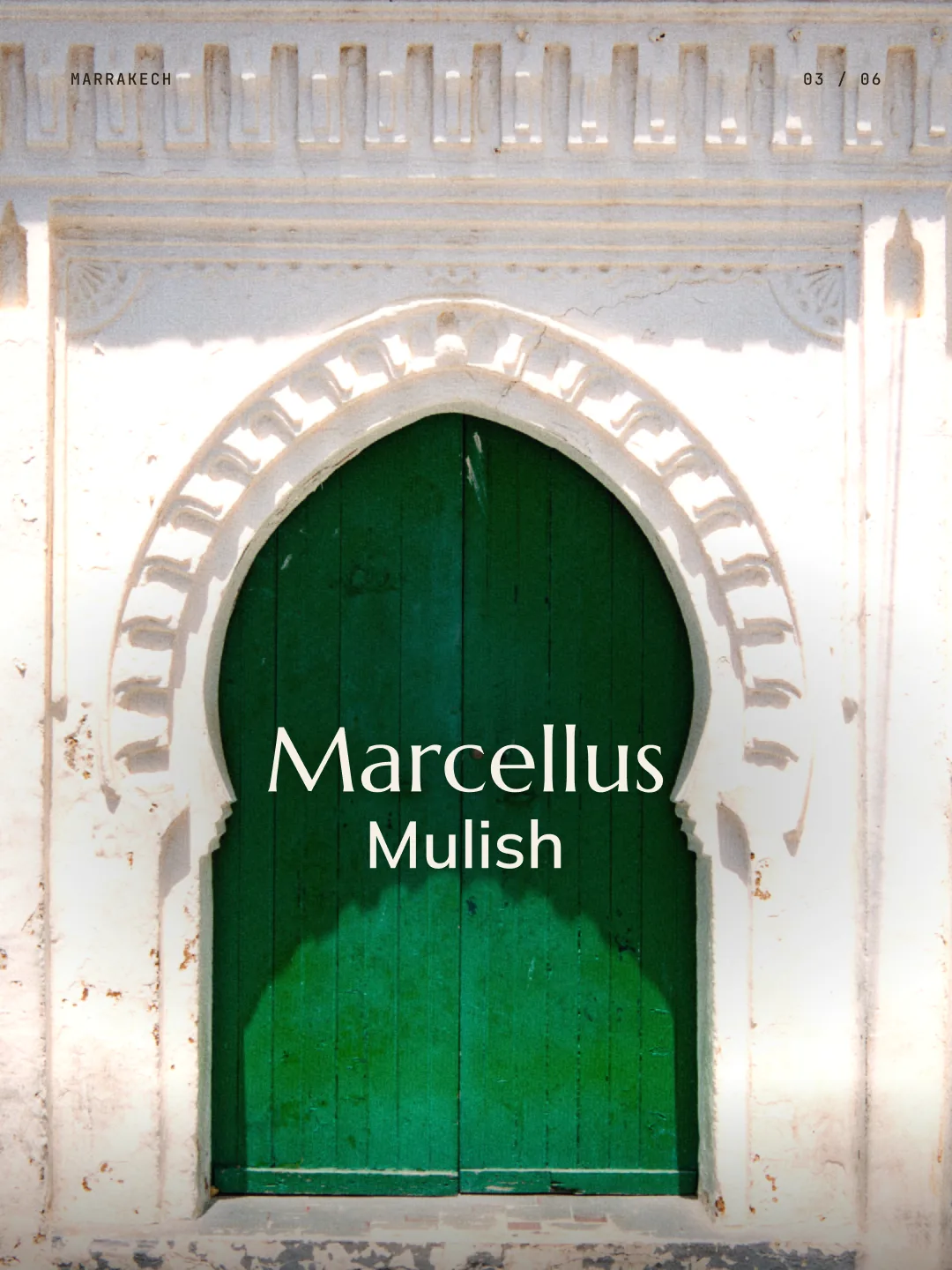 Marcellus + Mulish: Marcellus and Mulish